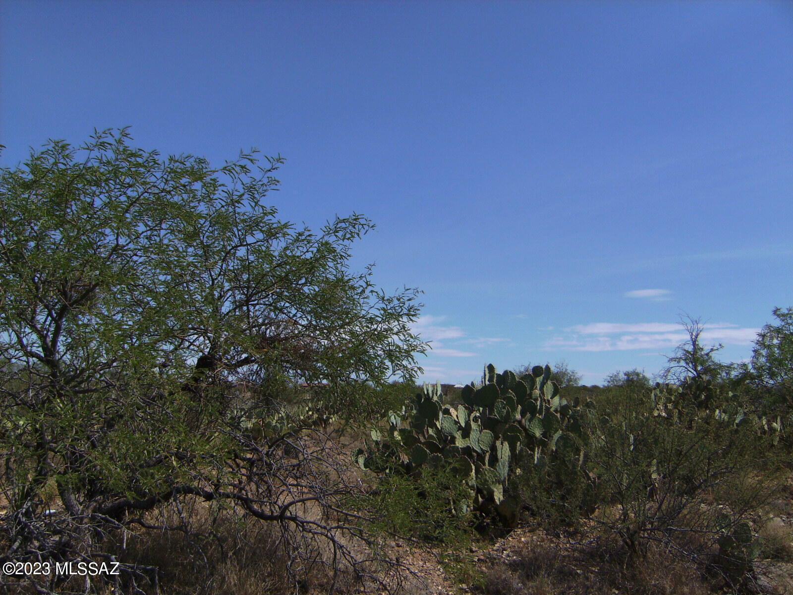 New Tucson Unit NO. 29 - Land