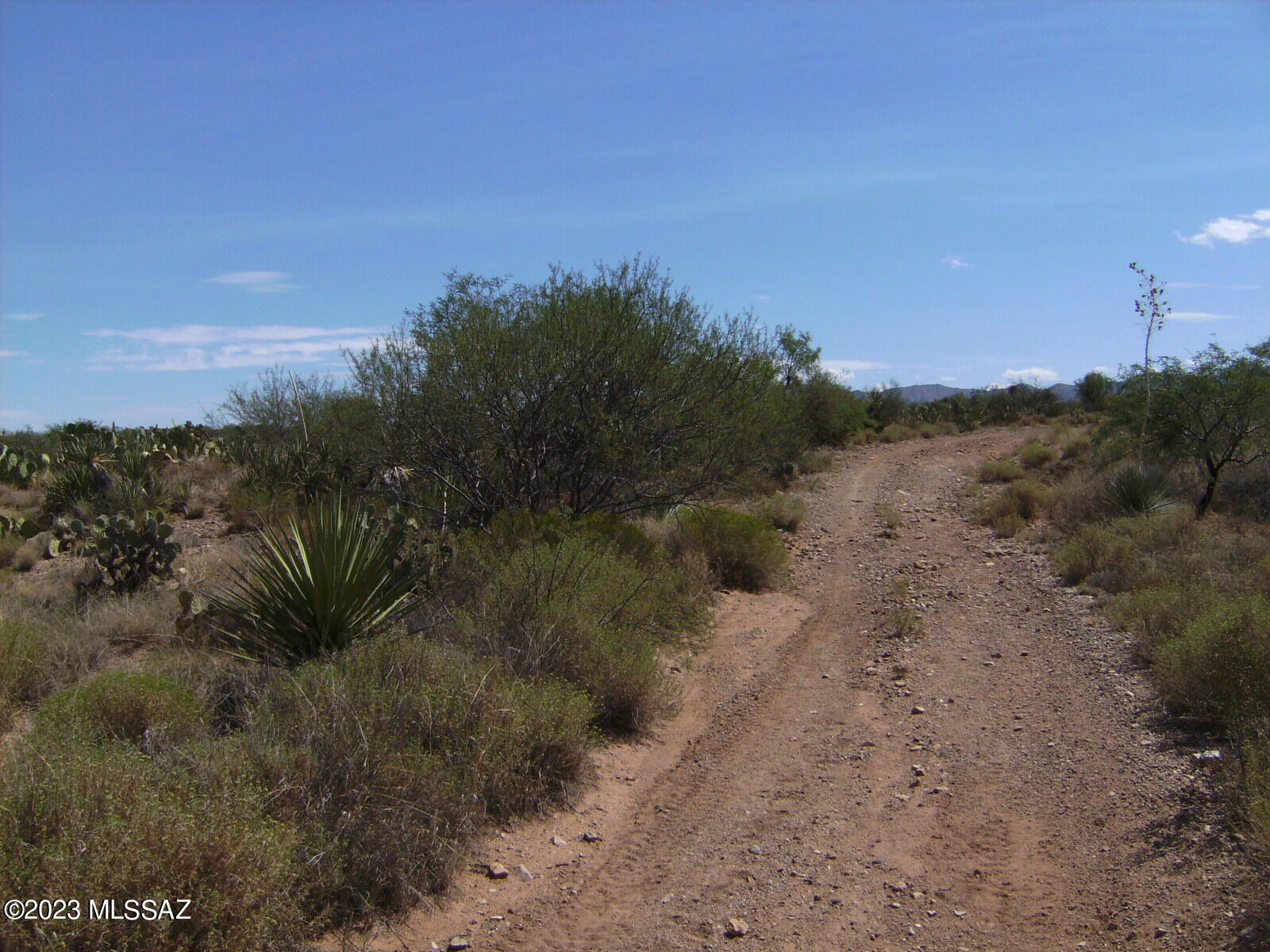 New Tucson Unit NO. 29 - Land