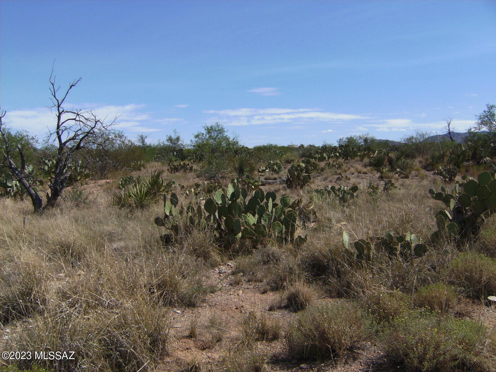 New Tucson Unit NO. 29 - Land