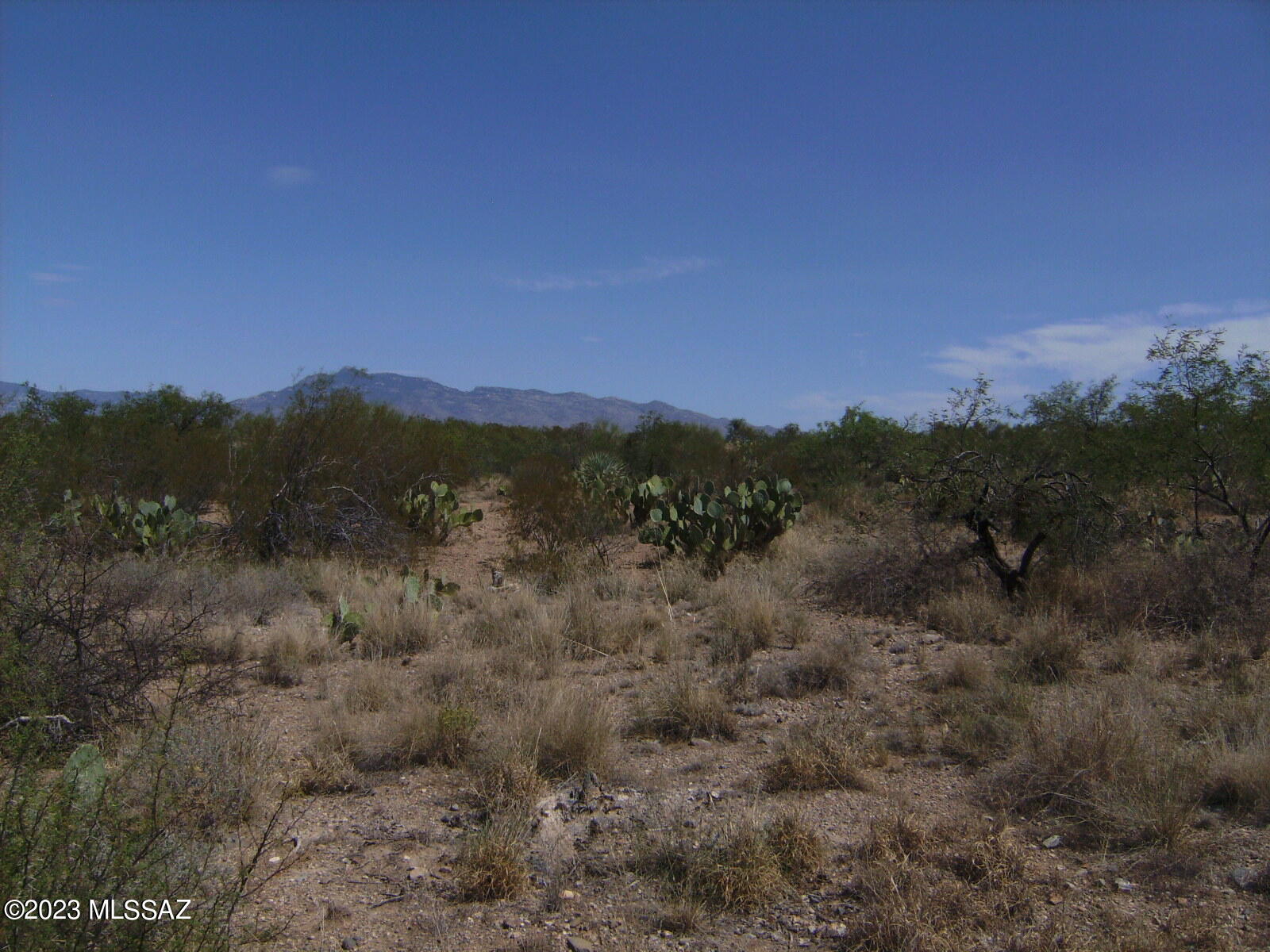 New Tucson Unit NO. 29 - Land