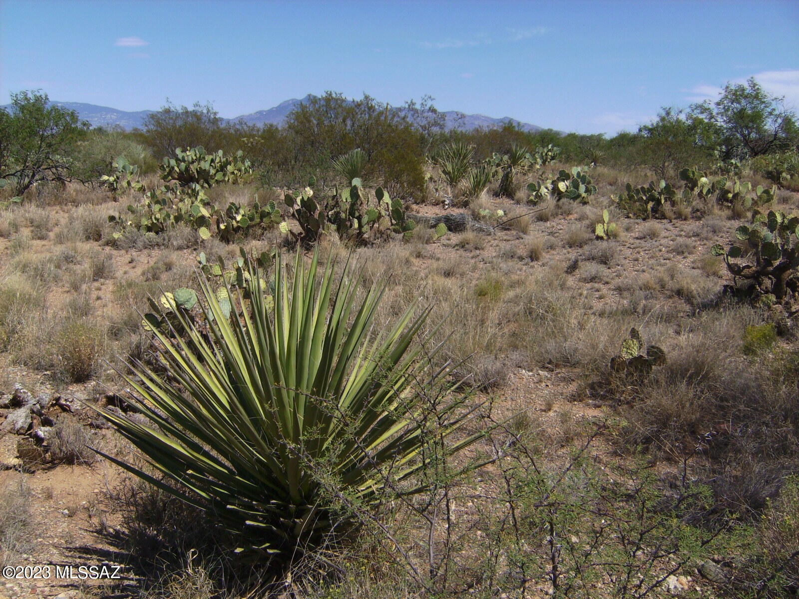 New Tucson Unit NO. 29 - Land