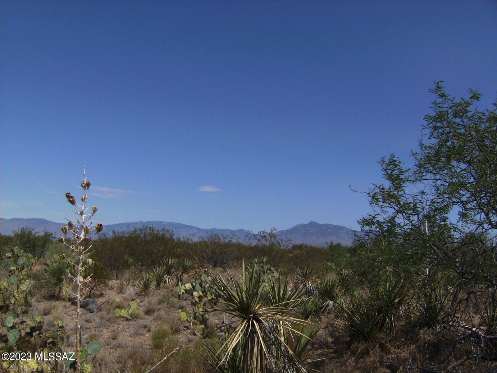 New Tucson Unit NO. 29 - Land