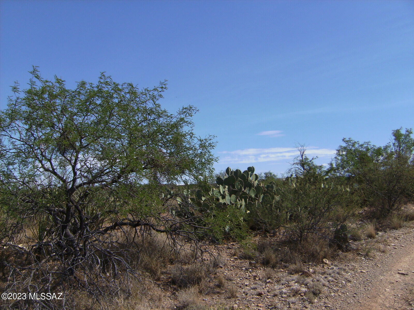 New Tucson Unit NO. 29 - Land