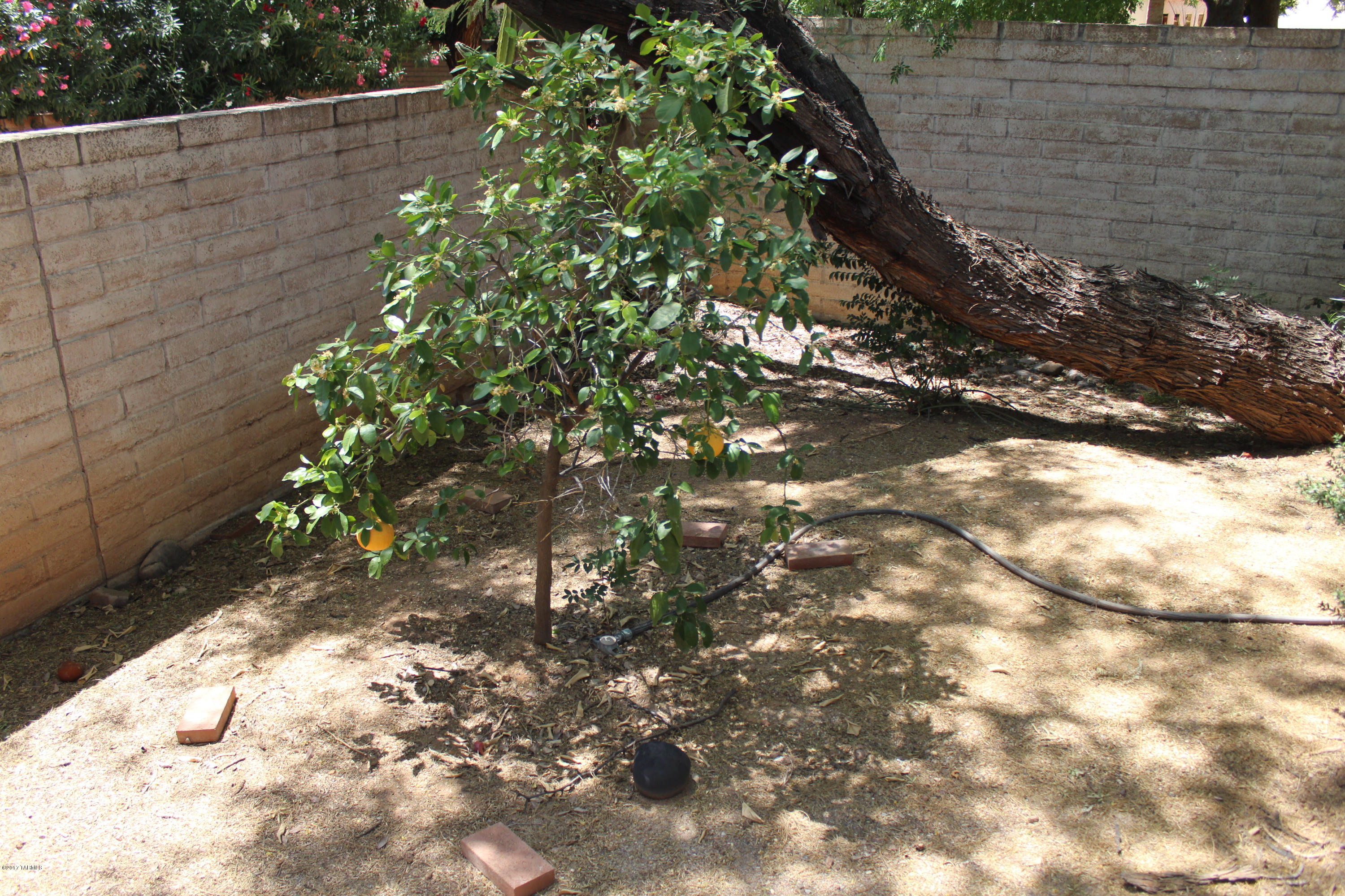 Riverbend Sabino Canyon Rd Amd - Residential