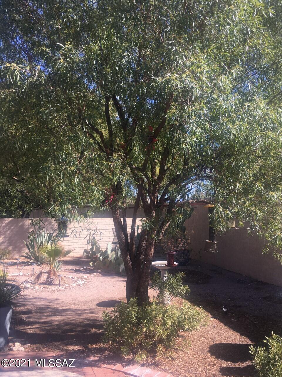 Sabino Vista Village (1-53) - Residential