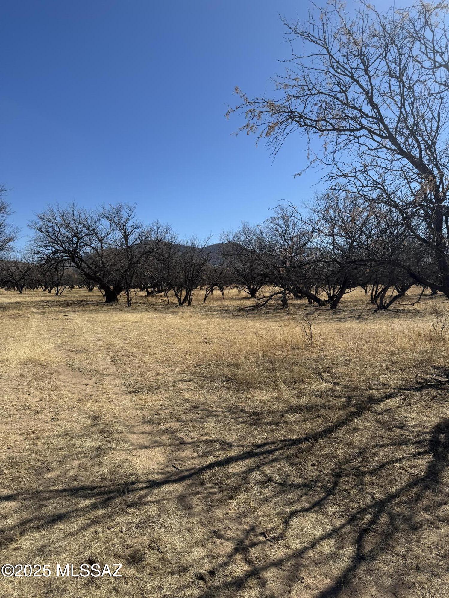 Kino Springs Unit 5 - Land