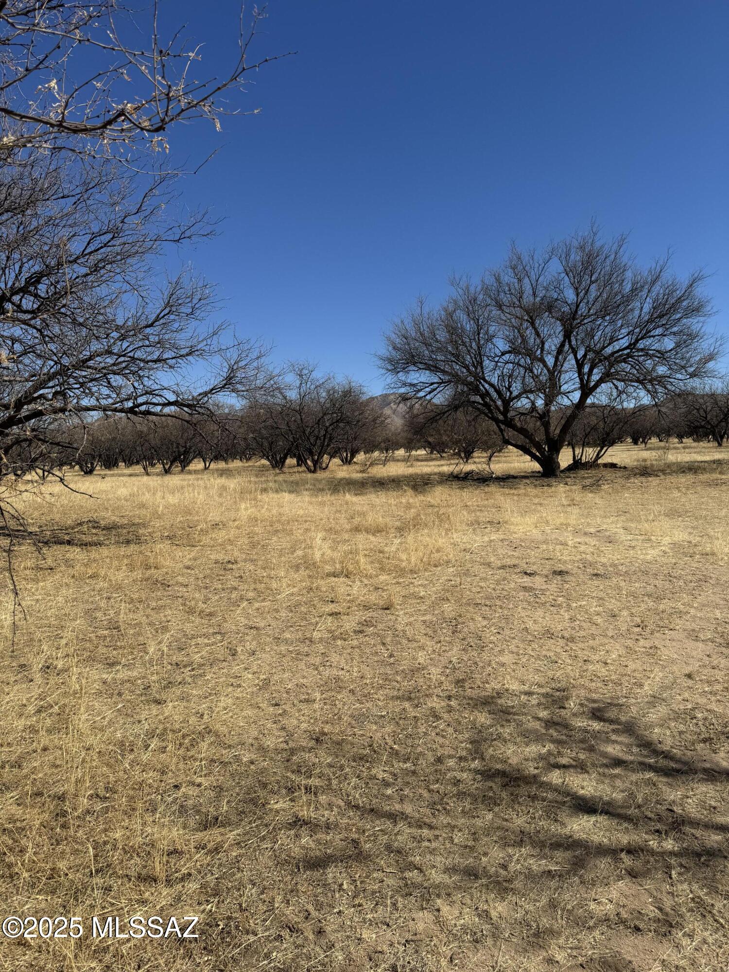 Kino Springs Unit 5 - Land