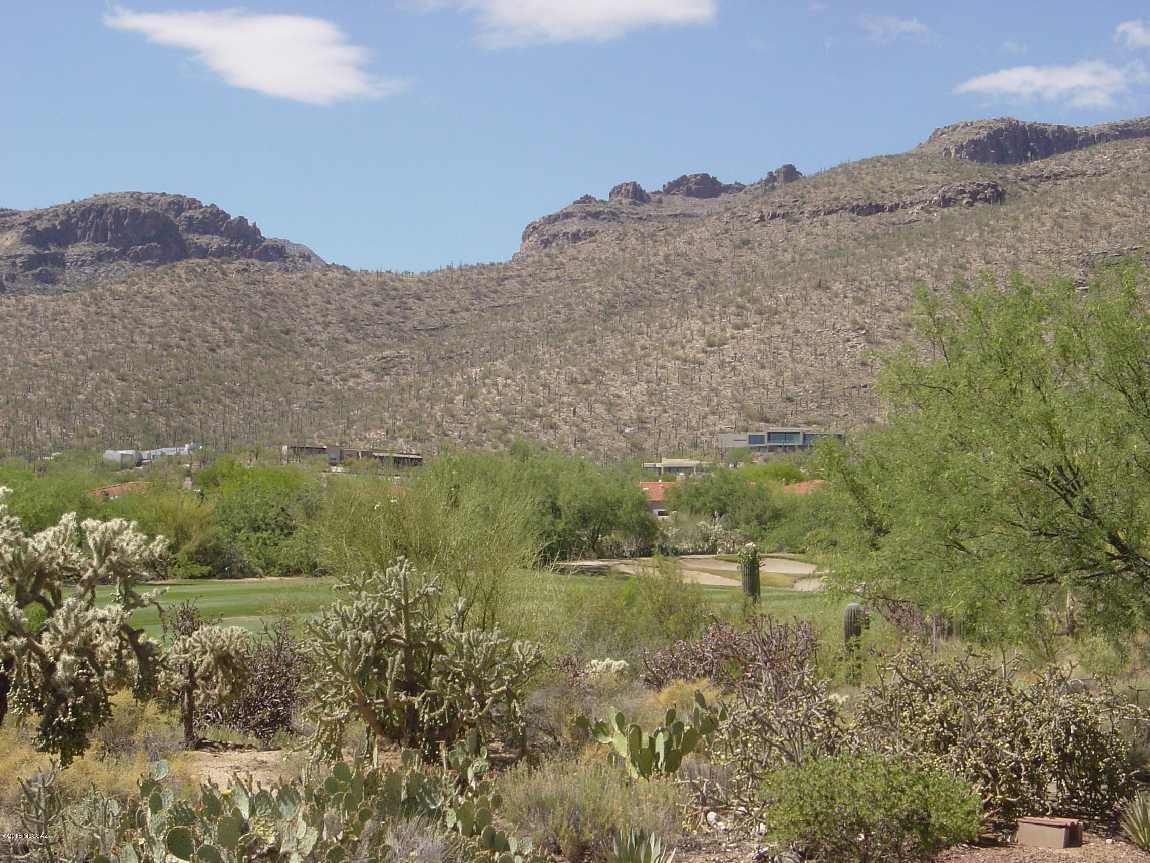 RANGE PRICING SELLER WILL COUNTER OR ACCEPT OFERS BETWEEN $387,000 TO $397,000. BEAUTIFUL FRESH OPEN FLOOR PLAN WITH BREATH TAKING VIEWS OF ARIZONA NATIONALS 15TH FAIRWAY RIGHT FROM THE LIVING ROOM/DINING ROOM. THIS GEM IS TUCKED IN A QUIET CULD-A-SAC WITH BEAUTIFUL MATURE TREES. HUGE OPEN FLOOR PLAN WITH HIGH CEILINGS AND MODERN TASTE. KITCHEN IS EQUIPPED WITH SS APPLIANCES AND DETAILED HICKORY CABINETS. FANTASTIC SPACES INCLUDE, A WET BAR AREA, SKYLIGHTS, TONS OF NATURAL LIGHT. LAUNDRY ROOM WITH FOLDING AREA & SINK. MASTER IS A LARGE QUAINT SPACE WITH WHITE PLANTATION SHUTTERS, WALK IN CLOSET WITH GREAT ORGANIZATION, DOUBLE SINKS, GARDEN TUB & SEPARATE SHOWER. BACK YARD HAS A CUTE SEATING AREA WITH FIRE PIT WHERE YOU CAN SEE THE RINCON MOUNTAINS. A OVER SIZED GARAGE WITH EXTRA STORAGE