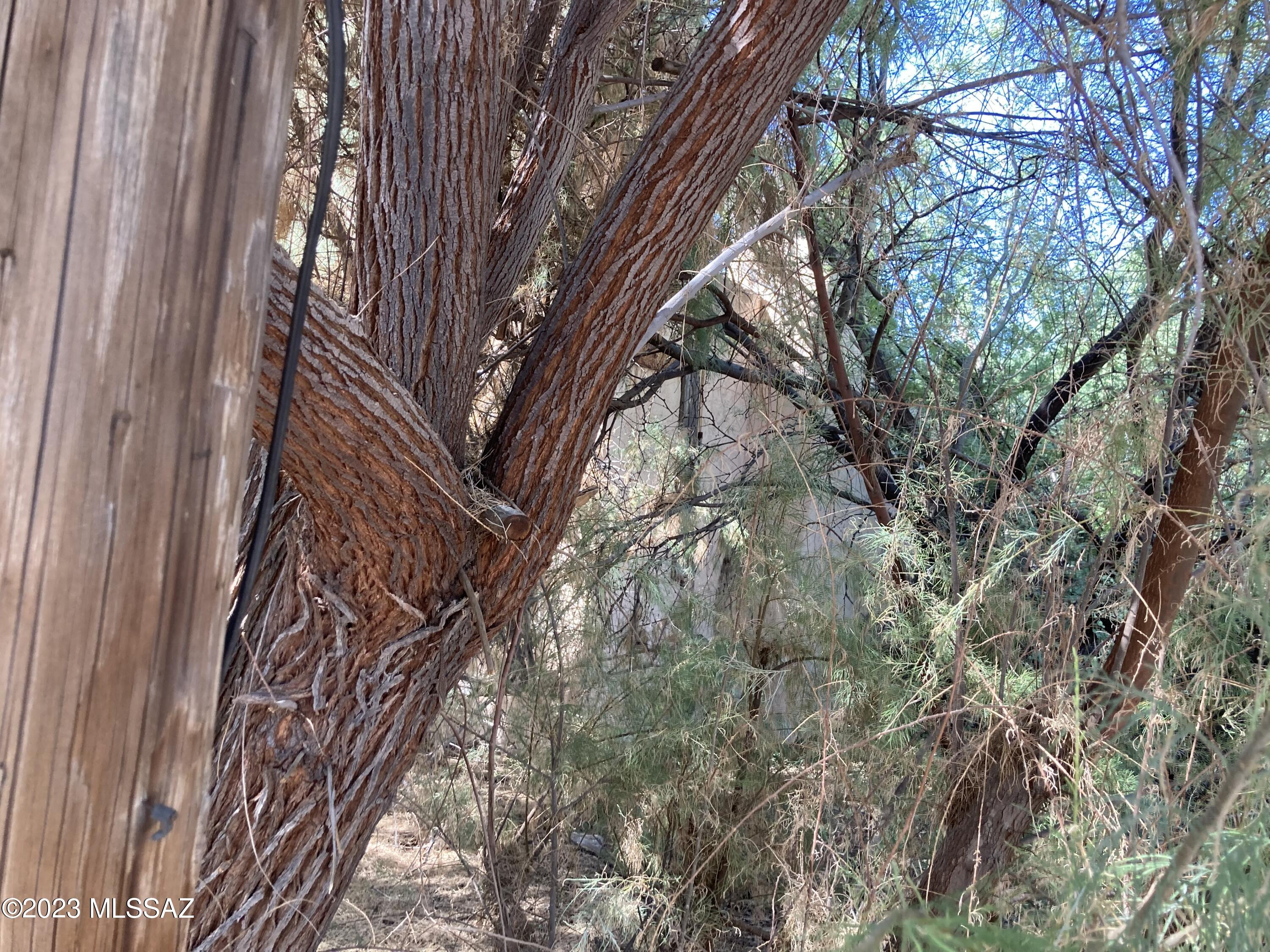 Out Of Pima County - Land