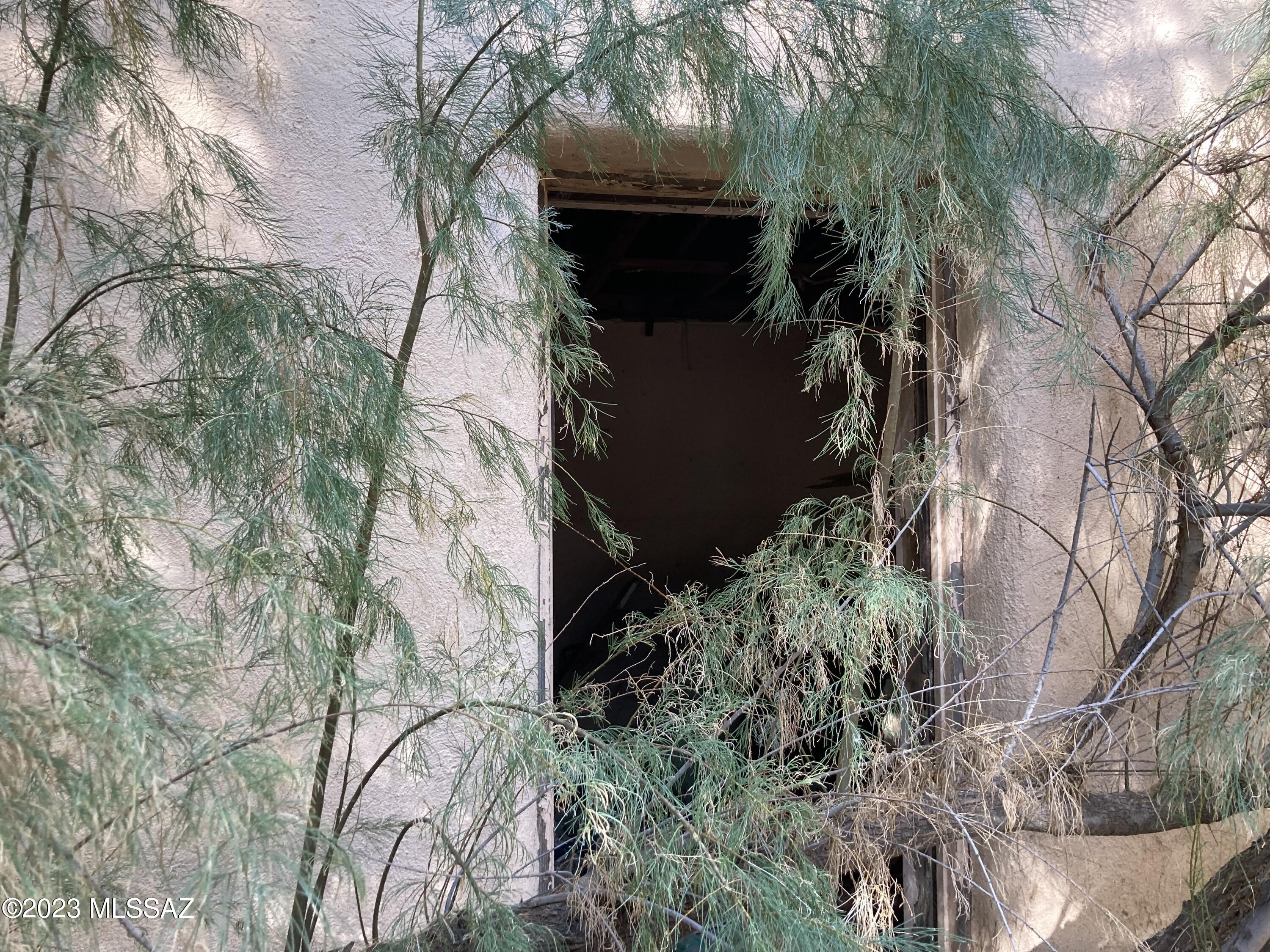 Out Of Pima County - Land
