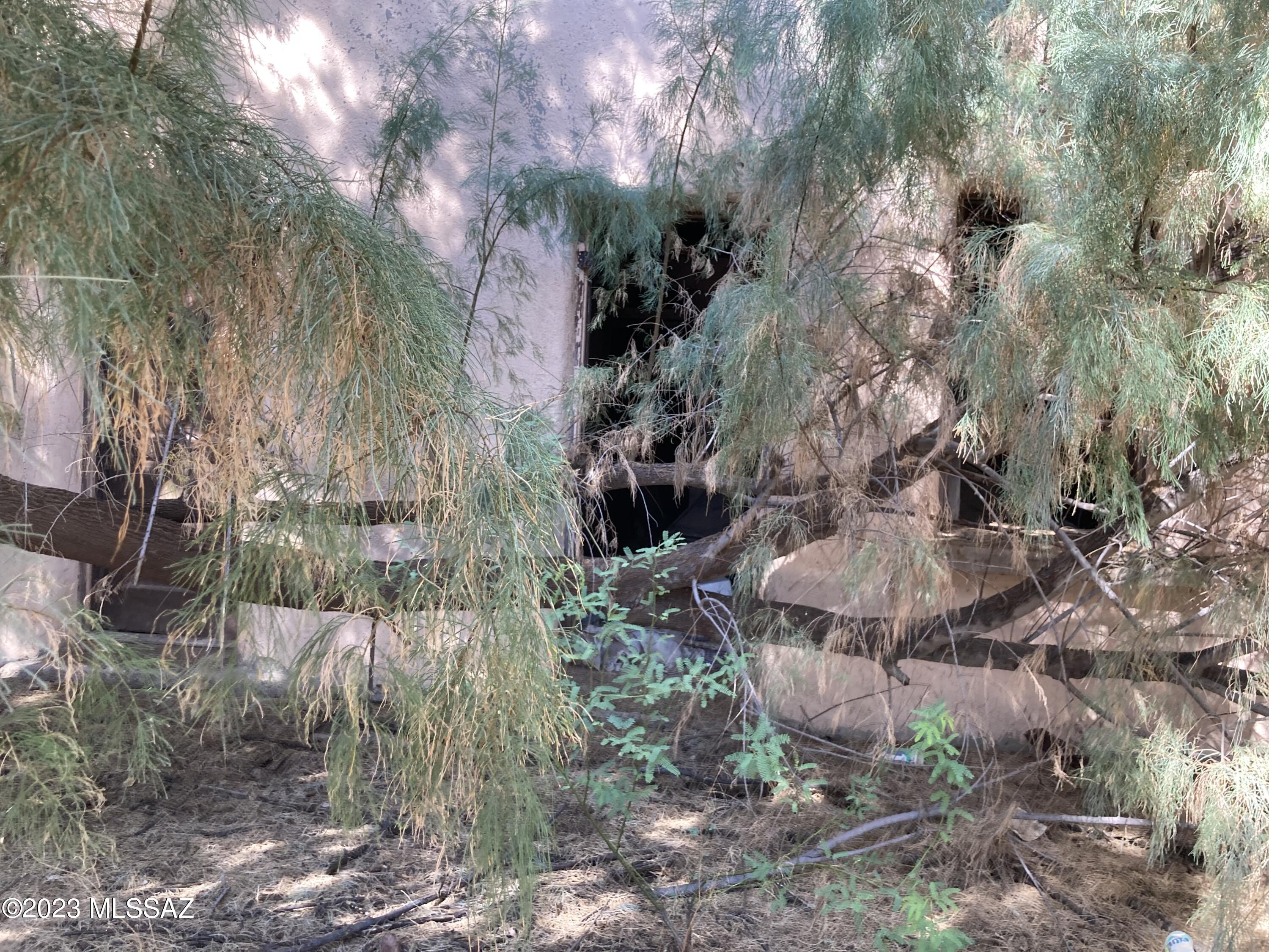 Out Of Pima County - Land