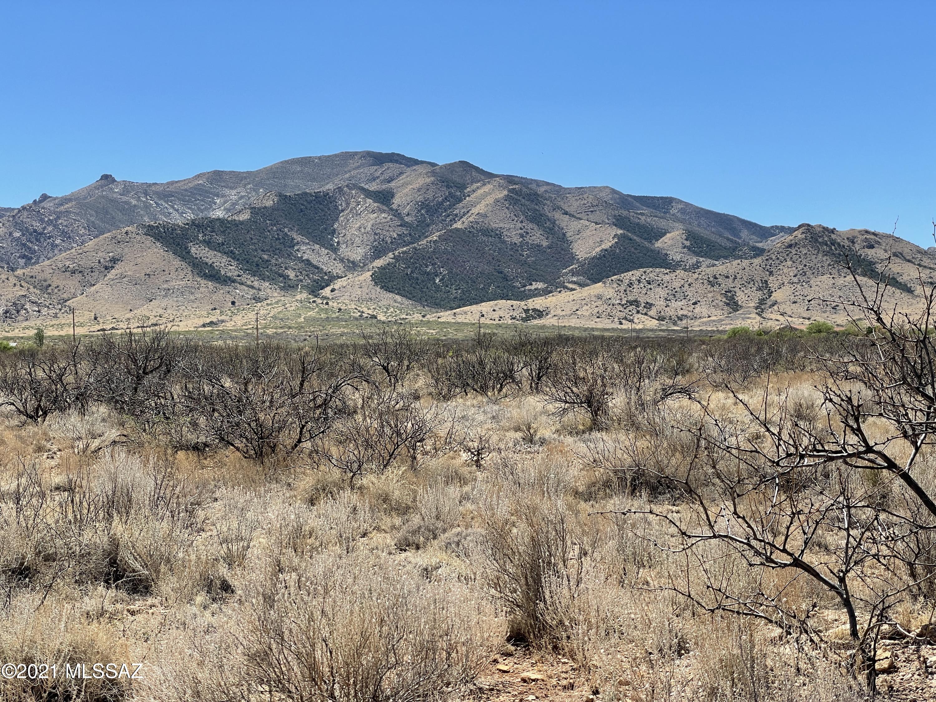 Looking to build a custom home, then look no further! This 10 acre parcel is has amazing mountain views and is less than 1/2 mile from the Coronado Nat'l Forest! Easy access for hiking or horseback up to Cochise Stronghold! Has water (shared well), Septic (tank) and electric already on property!