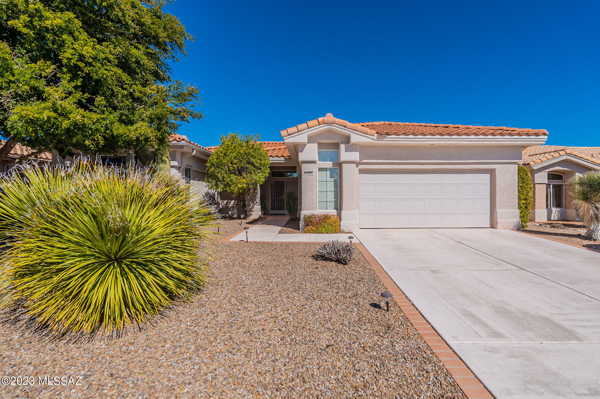 Light & bright 2BD/2BA (1,955 sq ft) Sunrise model in Sun City Oro Valley. Home backs up to the natural desert, no neighbors behind! Enter into a Great Room with abundance of windows & patio access that showcases amazing Desert Views. Chef's kitchen hosts a breakfast bar & adjacent spacious dining area with fireplace. Owner's Suite offers dual sink vanity, soaking tub, walk-in shower & closet, with private patio entrance.  Front guest room hosts a seating/hobby area, walk-in closet, mini split and lies next to full hall bath. Garage has epoxy floors, abundance of custom cabinetry & work station. Enjoy the amazing backyard with extended pavers overlooking expansive Desert Views.  Sun City Active Adult Community features clubhouse, golf course, fitness ctr, 6-lane pool, sport courts & more!