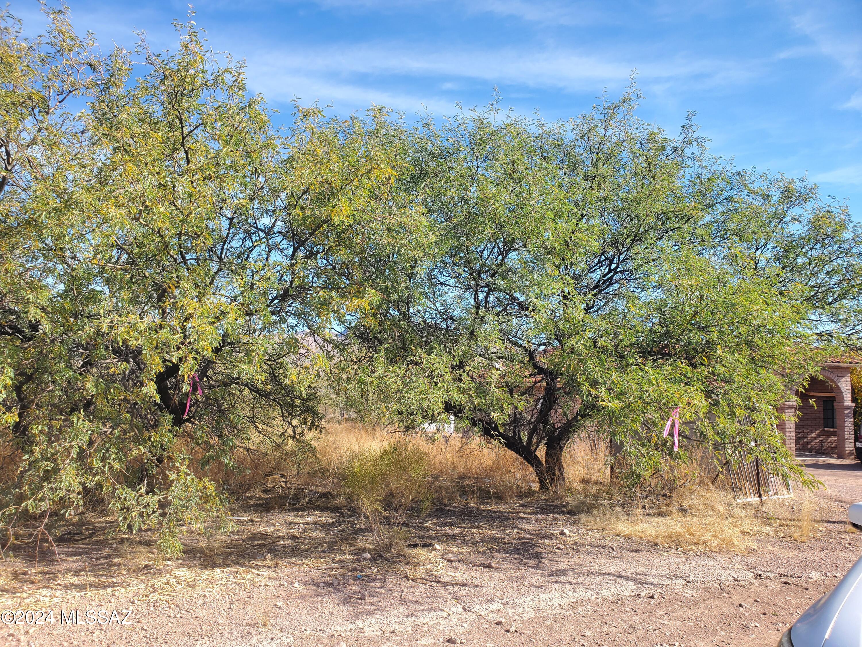 Rio Rico Estates 9 - Land