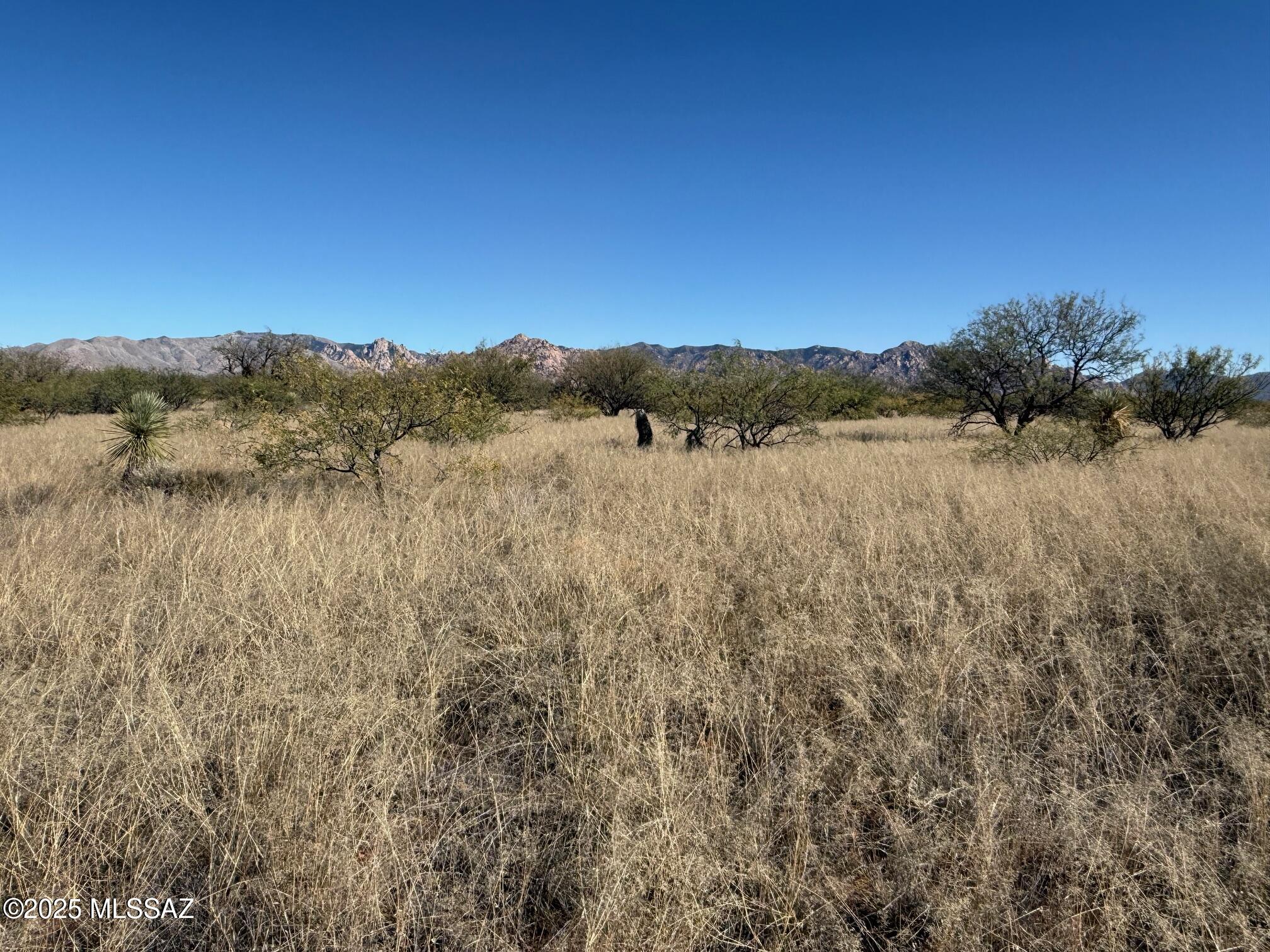 Dragoon Mountain Ranch - Land