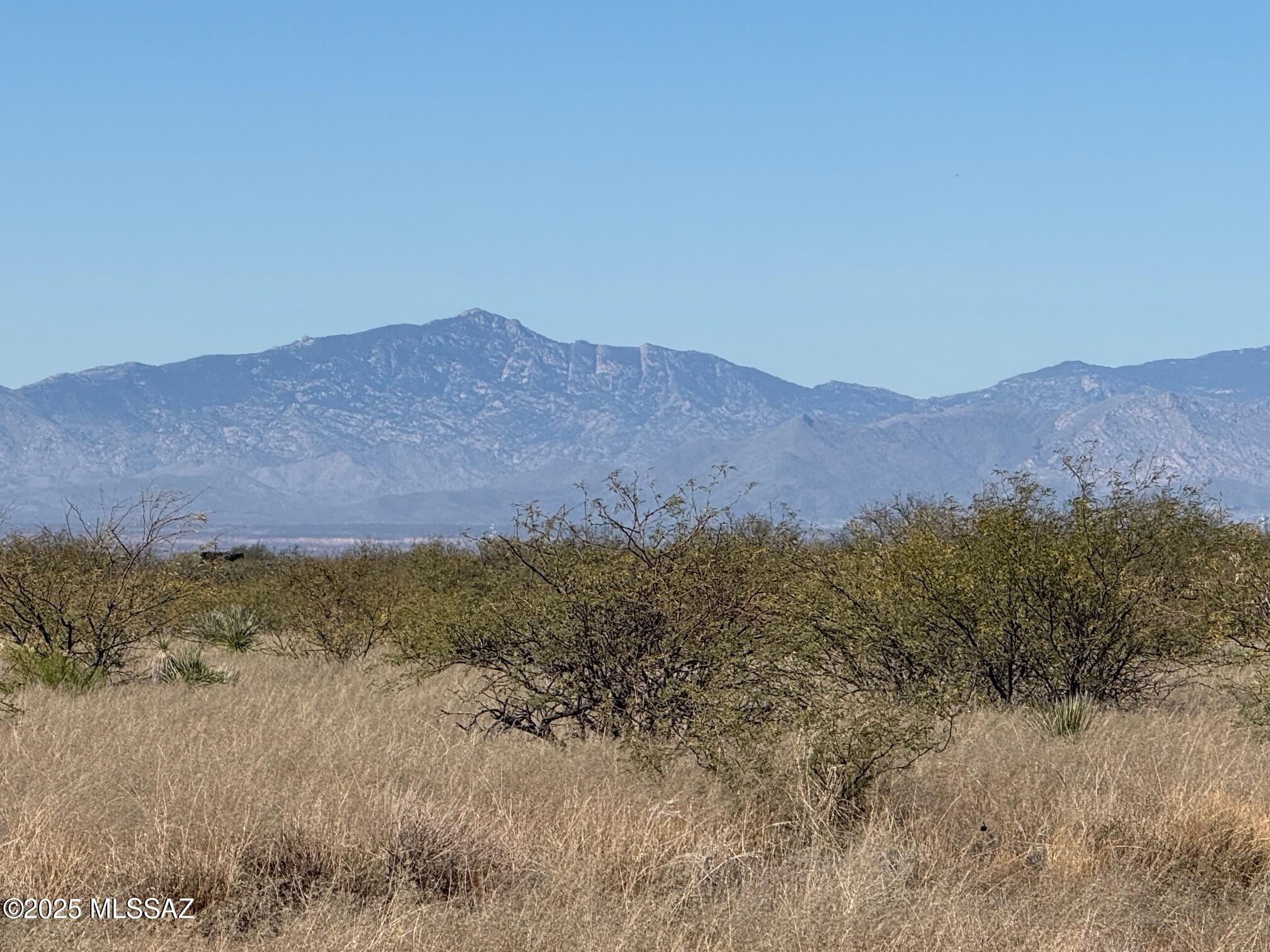 Dragoon Mountain Ranch - Land
