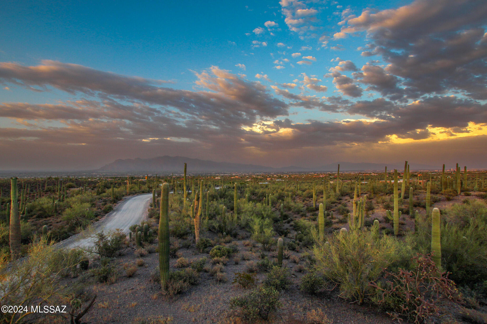 The best views int Tucson! Here is your chance to build your dream home on 3.3 acres, with expansive views of the entire valley of Tucson and surrounding mountain ranges. You will feel like you are on the top of the world, but will be just minutes away from down town, restaurants, shopping, and schools. Level building site, phone, electric, and city water available. Your dream home is waiting to be imagined. The best views in Tucson! Here is your chance to build your
dream home on 3.3 acres, with expansive views of the entire valley of Tucson and surrounding mountain ranges. You will feel like you are on the top of the world, but will be just minutes away
from down town, restaurants, shopping, and schools. Level building site, phone, electric, and city water available. Your dream home is waiting to be imagined.