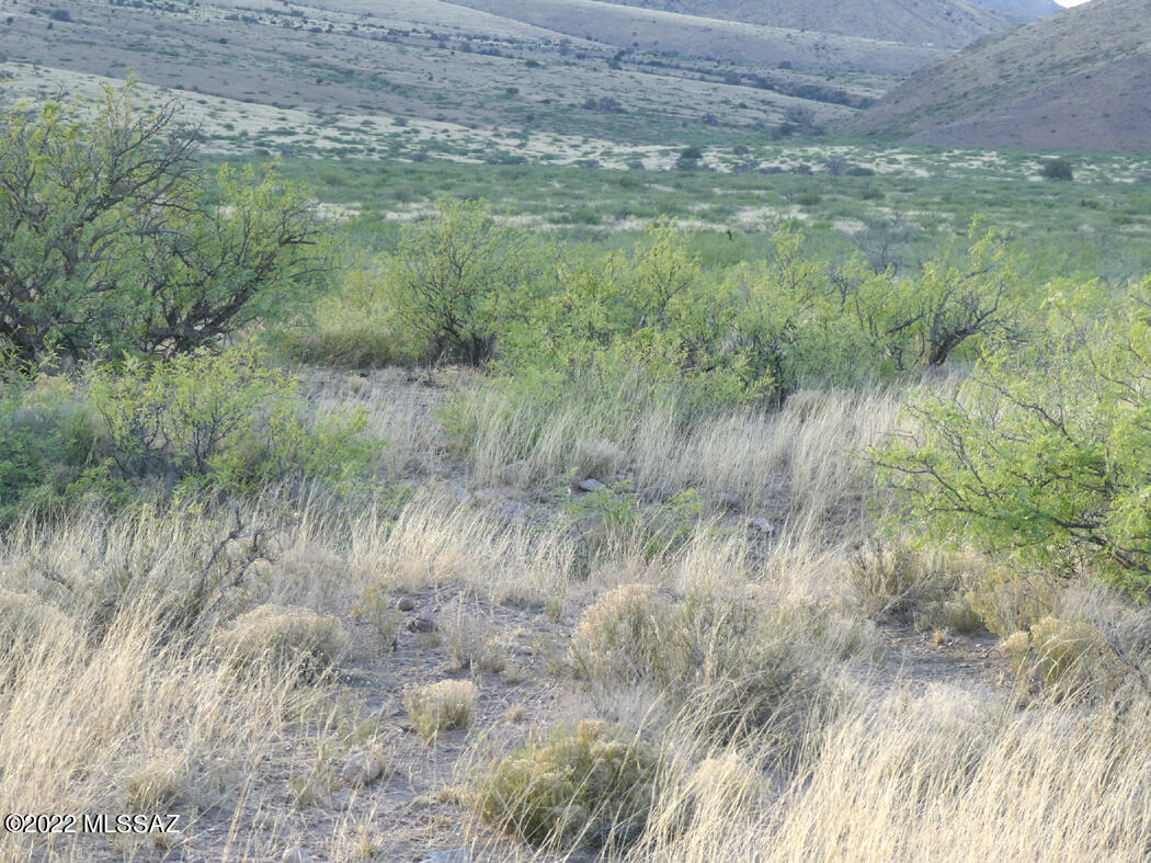 Out Of Pima County - Land