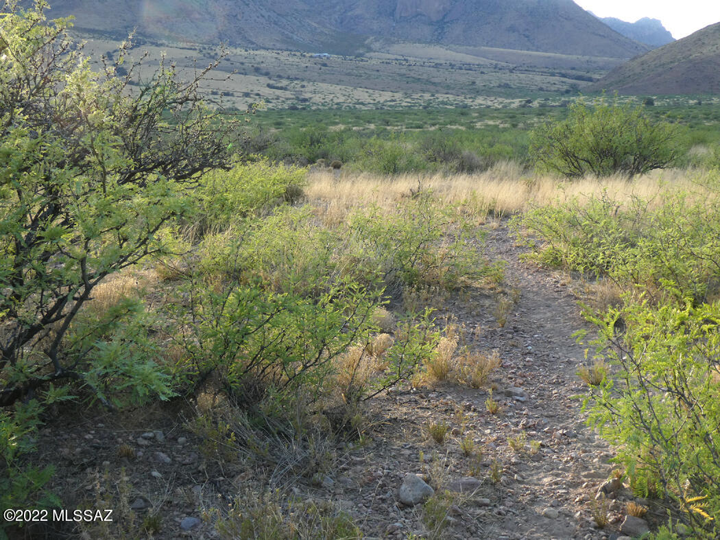 Out Of Pima County - Land