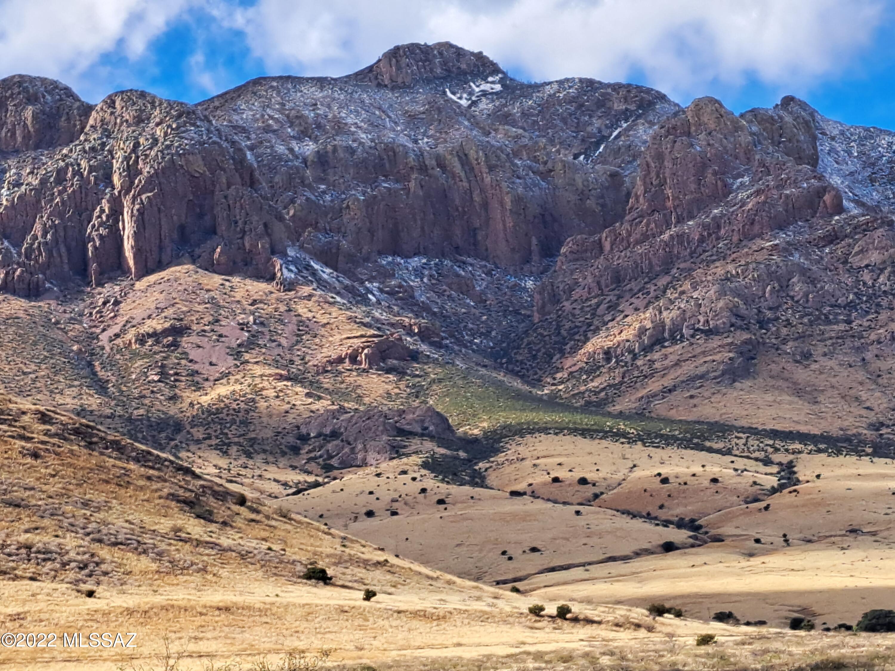 ESCAPE THE HOA! Wide open, wild west country parcel, 40 full acres of it, loaded with wildlife, adjoins state land, right up against the mountain. Dividable, no HOA/deed restrictions. Live your cowboy dreams YOUR way at 31.847264° -109.102672°. Drill well, install septic, move in manuf home. Partially fenced. Ride horses for miles on backcountry roads and up into the mountains. Big mountain view to west of 7700' Portal Peak, full sweep of Peloncillo Mts. to the east. 60 mi to Douglas/major shopping, 30 to Animas or San Simon for gas, hardware, ranch supplies. Portal & Rodeo area have cafes, lodging, convenience stores, EV charging, library, medical clinics. Animas, San Simon for gas, hardware, ranch supplies. Cave Creek Canyon's hiking and birding is just around the corner in Portal.