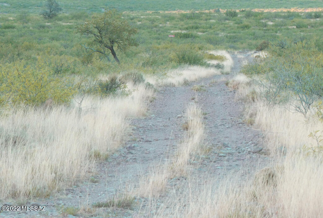Out Of Pima County - Land