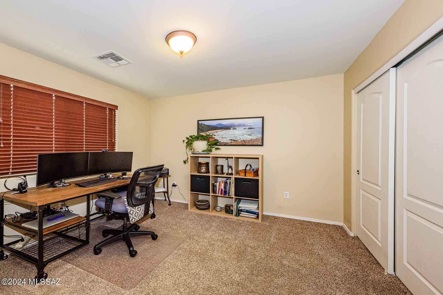 Sonoran Blossom - Residential