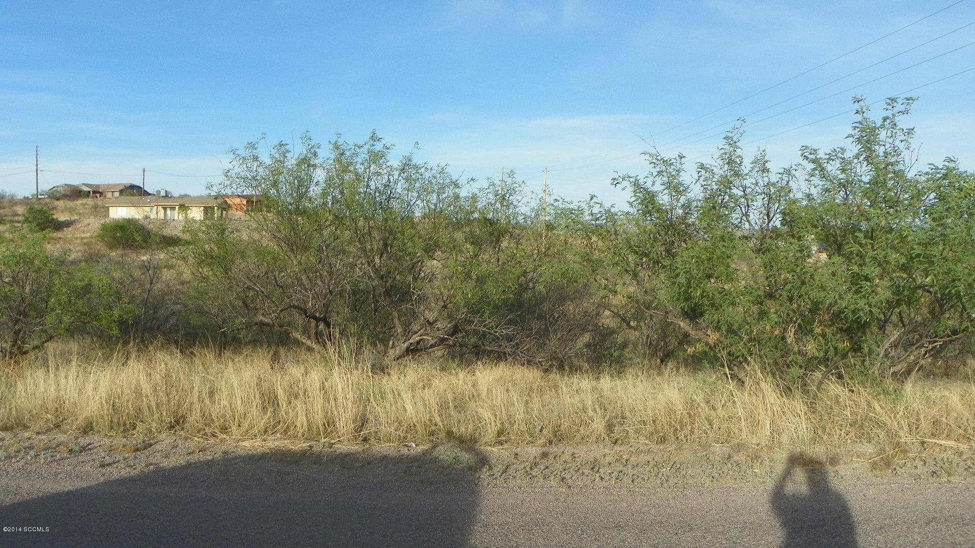 The owner says the lot has passed a percolation test in the past. Nice rock face at back of lot. Right on Pendleton for easy access to interstate about 3 miles away. Fire station about 1 mile away. Electric and water at the street, road is paved.