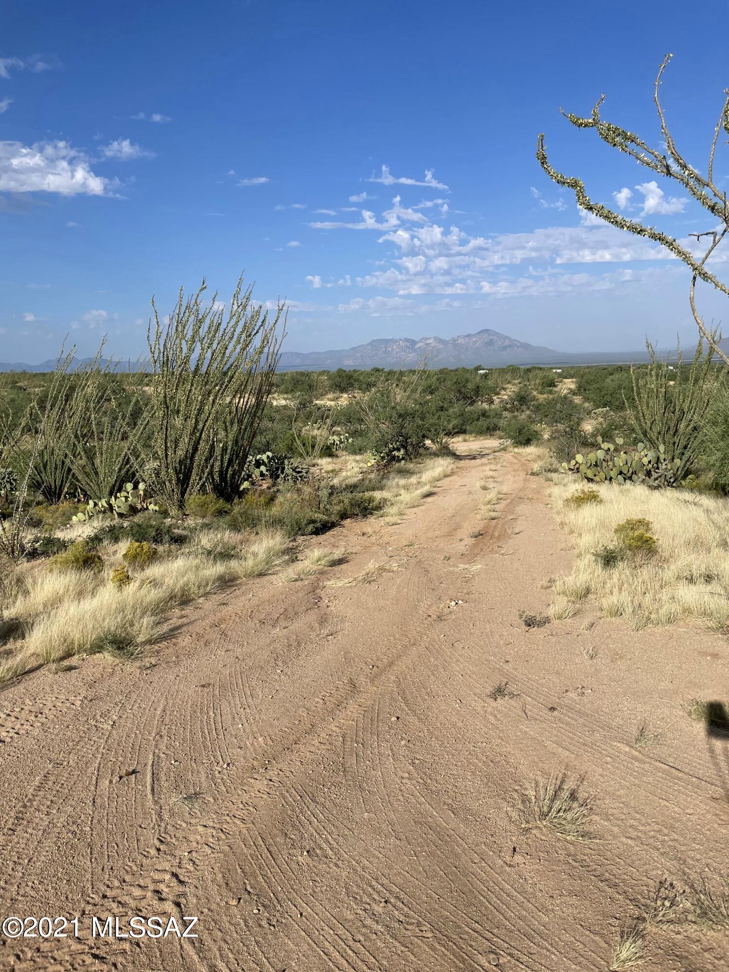 Diamond Bell Ranch - Tucson Unit 4 (1-513) - Land