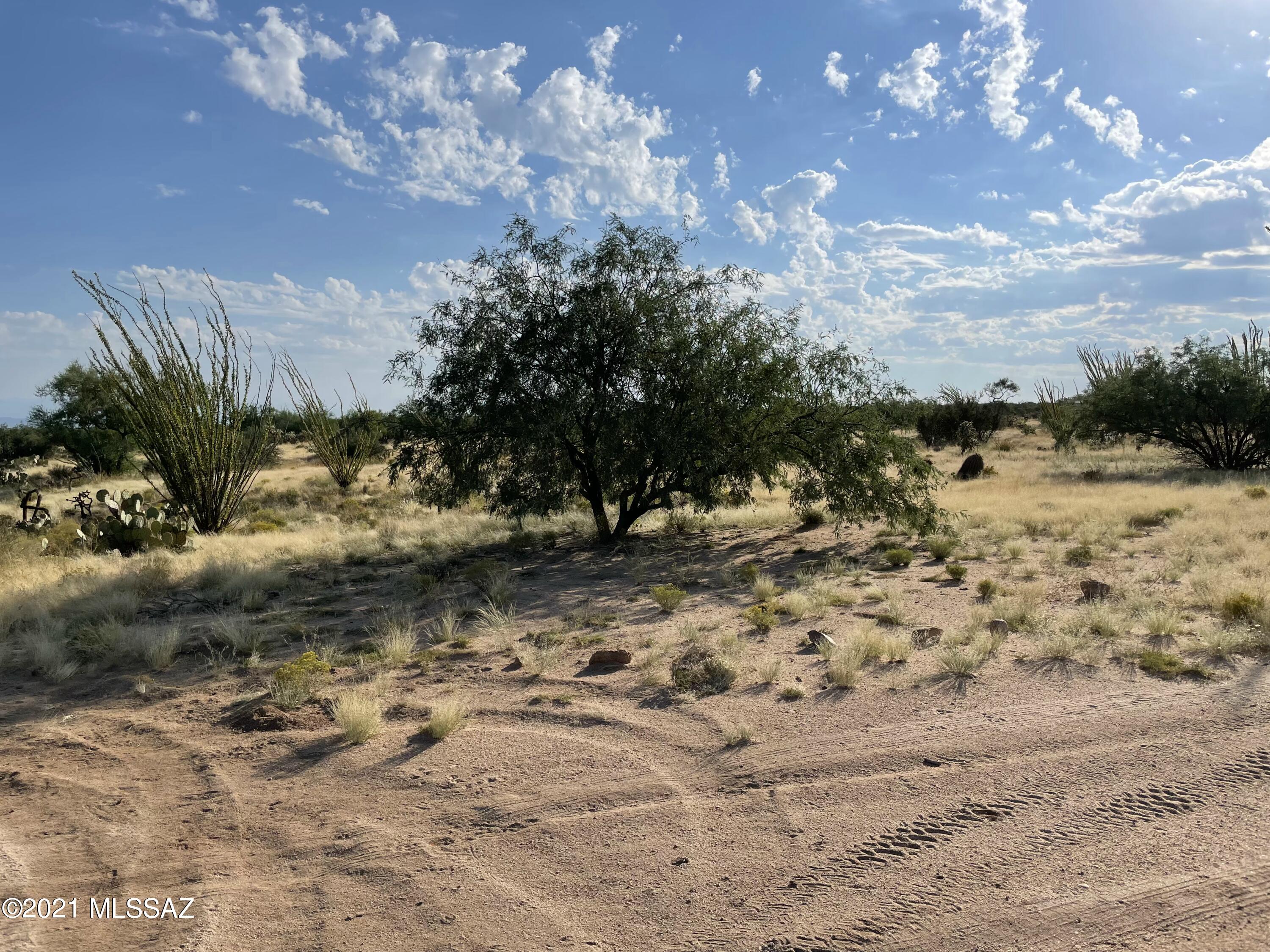 Diamond Bell Ranch - Tucson Unit 4 (1-513) - Land
