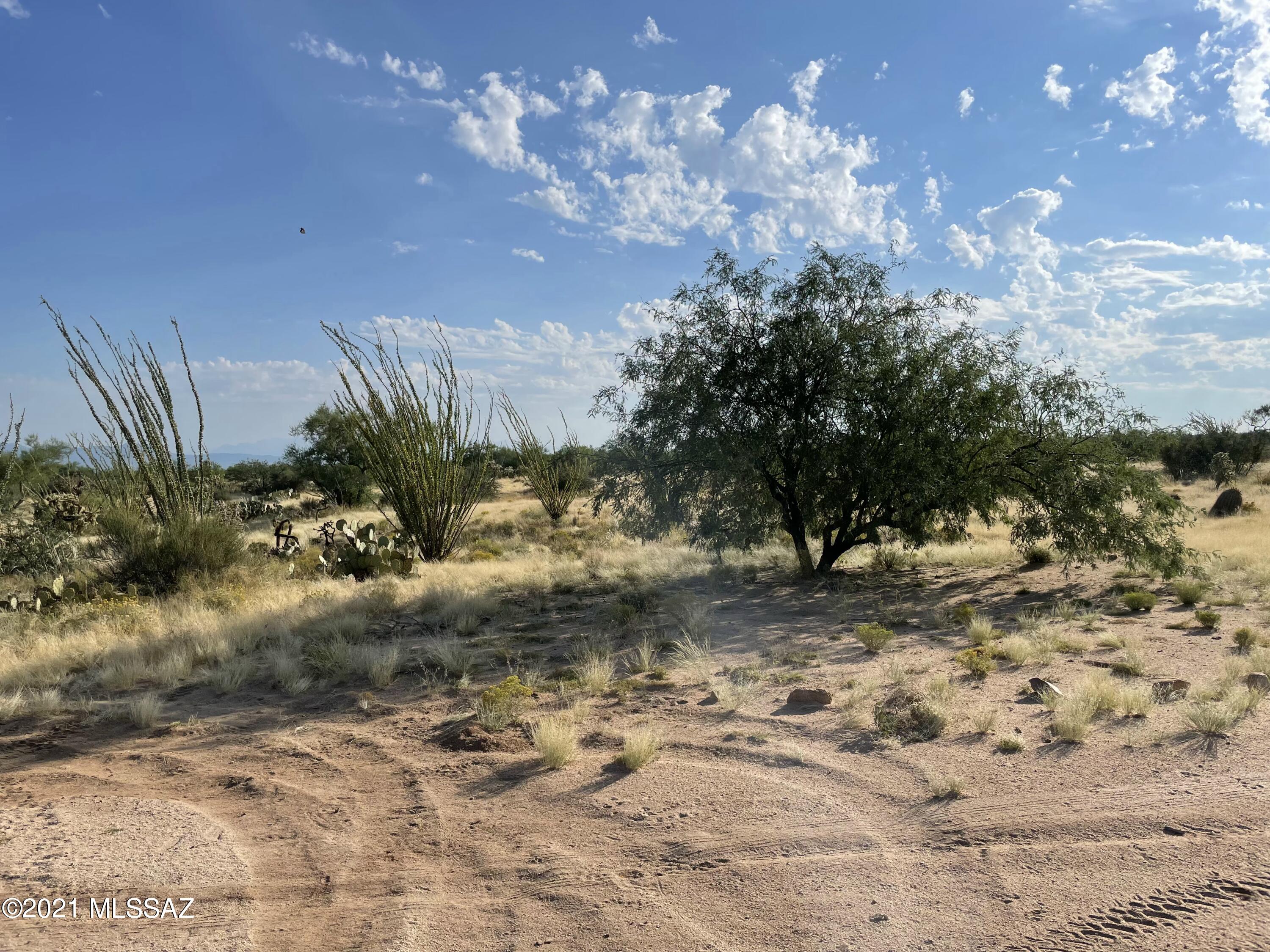 Diamond Bell Ranch - Tucson Unit 4 (1-513) - Land