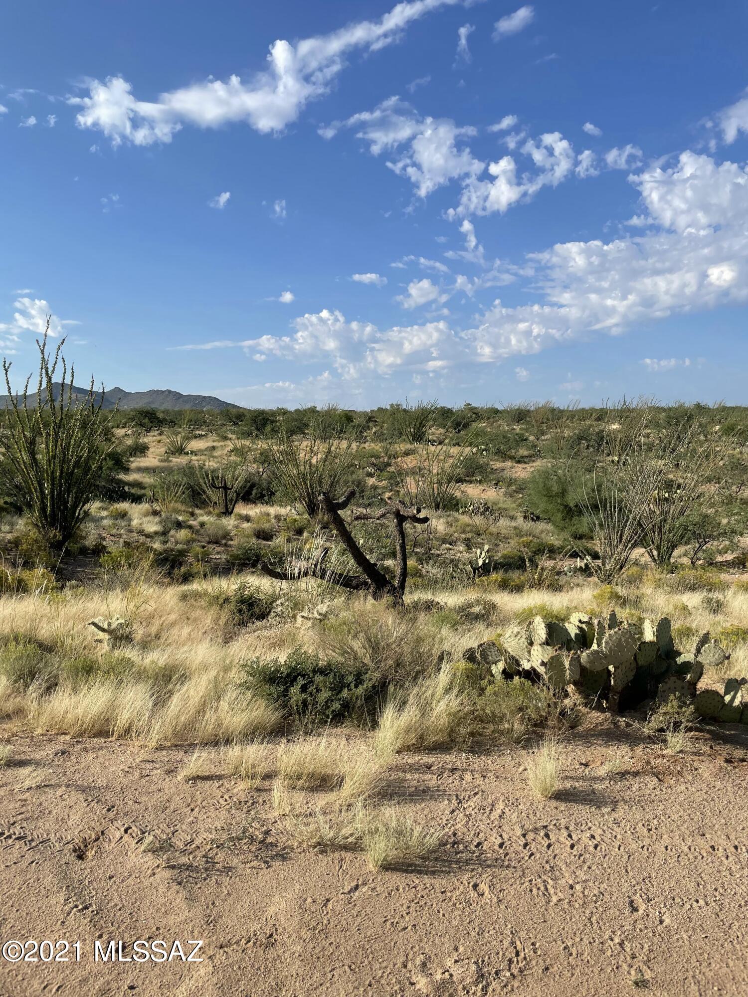 Diamond Bell Ranch - Tucson Unit 4 (1-513) - Land