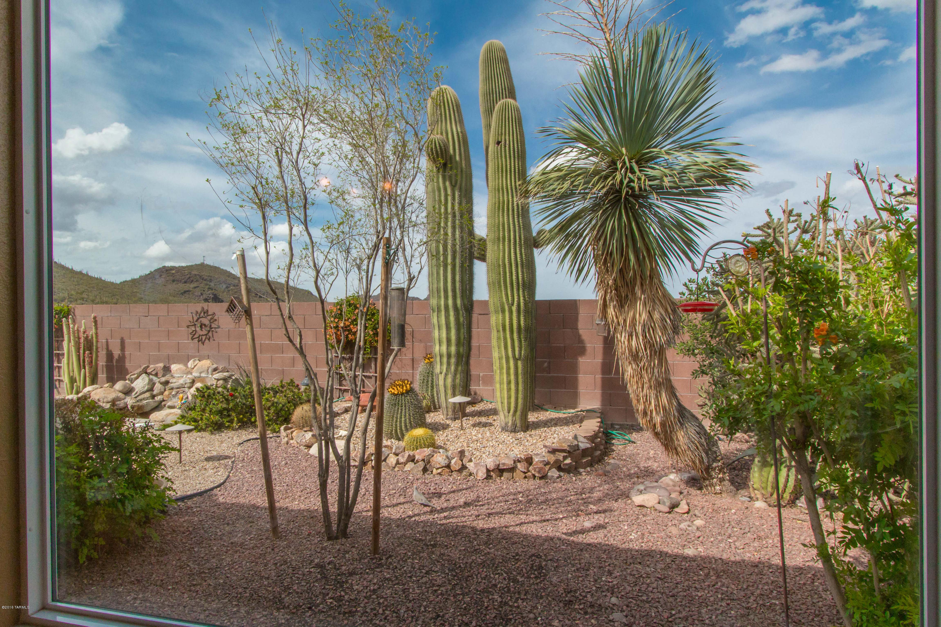 Continental Ranch Sunflower - Residential