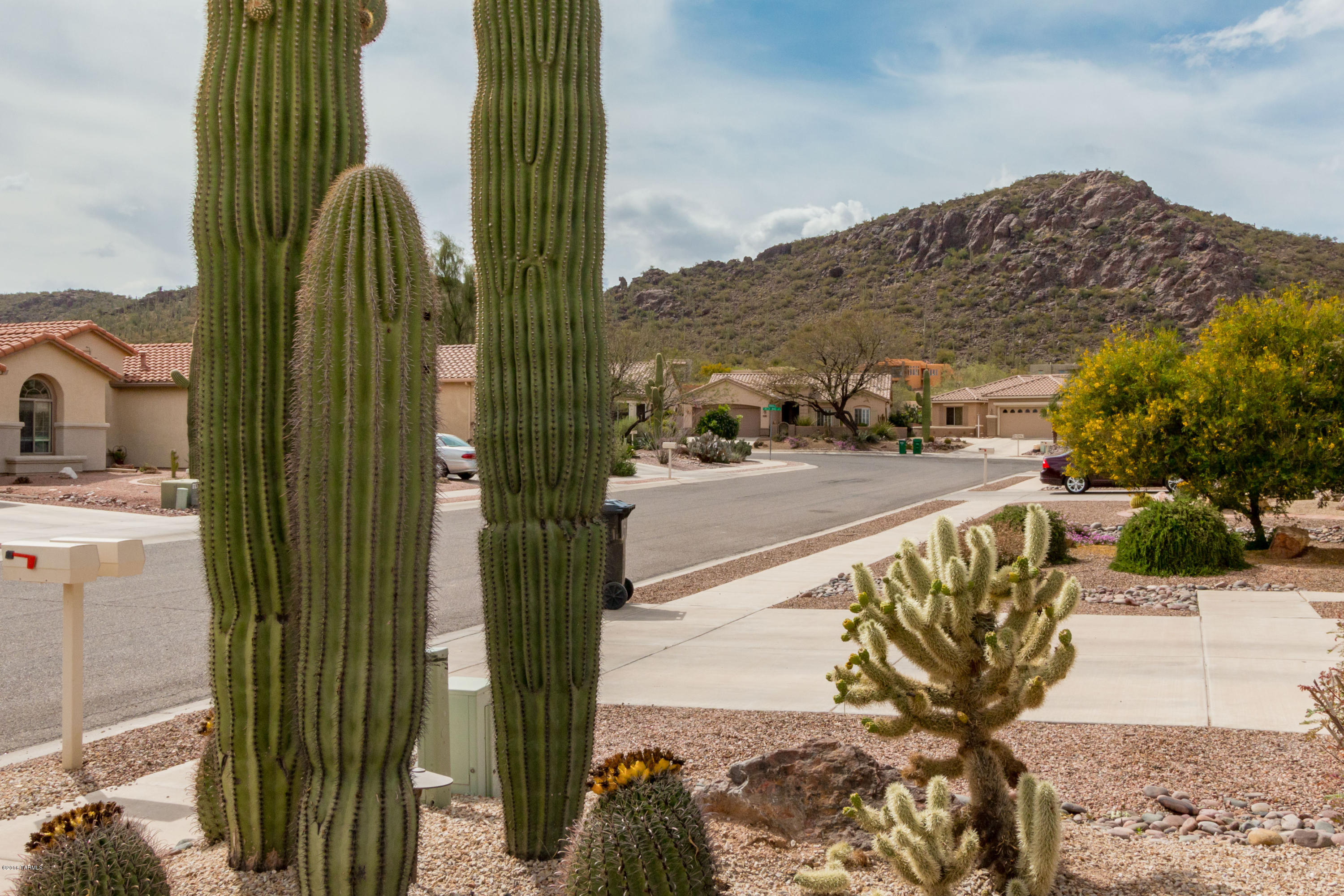 Continental Ranch Sunflower - Residential