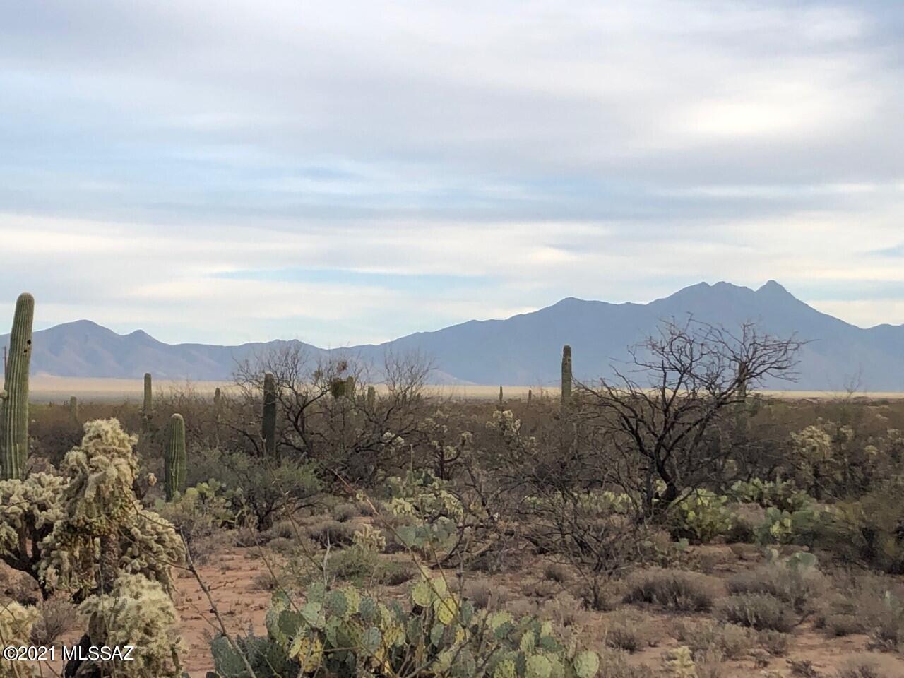 4.286 Acres of flat, mostly out of flood plain GR-1 zoned vacant land w/ Beautiful Views & Saguaros.  - NO HOA! - Property can be split into 5 parcels for a few thousand dollars.  Seller is related to an Arizona Real Estate Broker.