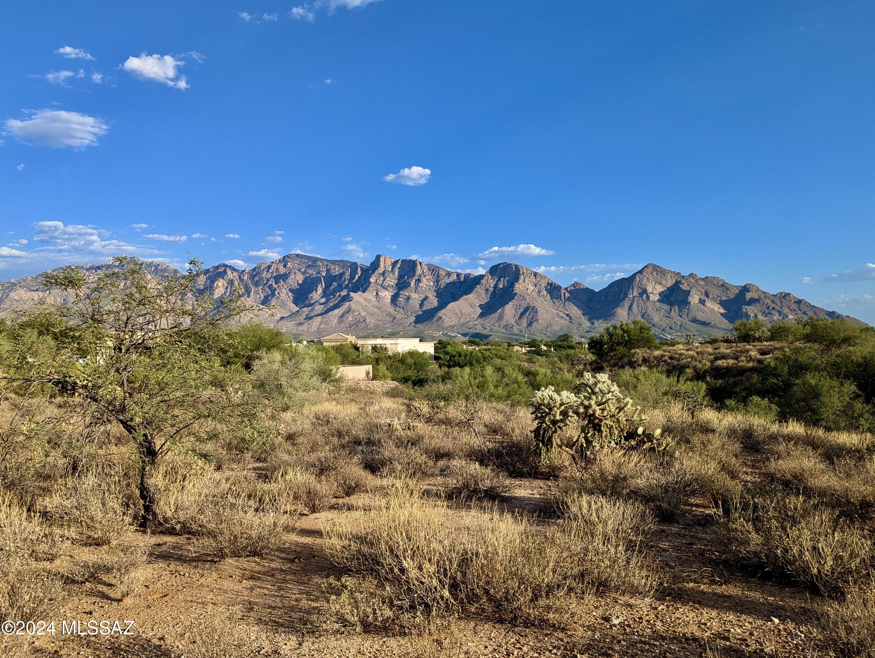 Rancho Vistoso Ngh 7 PCL A Vistoso Point - Land