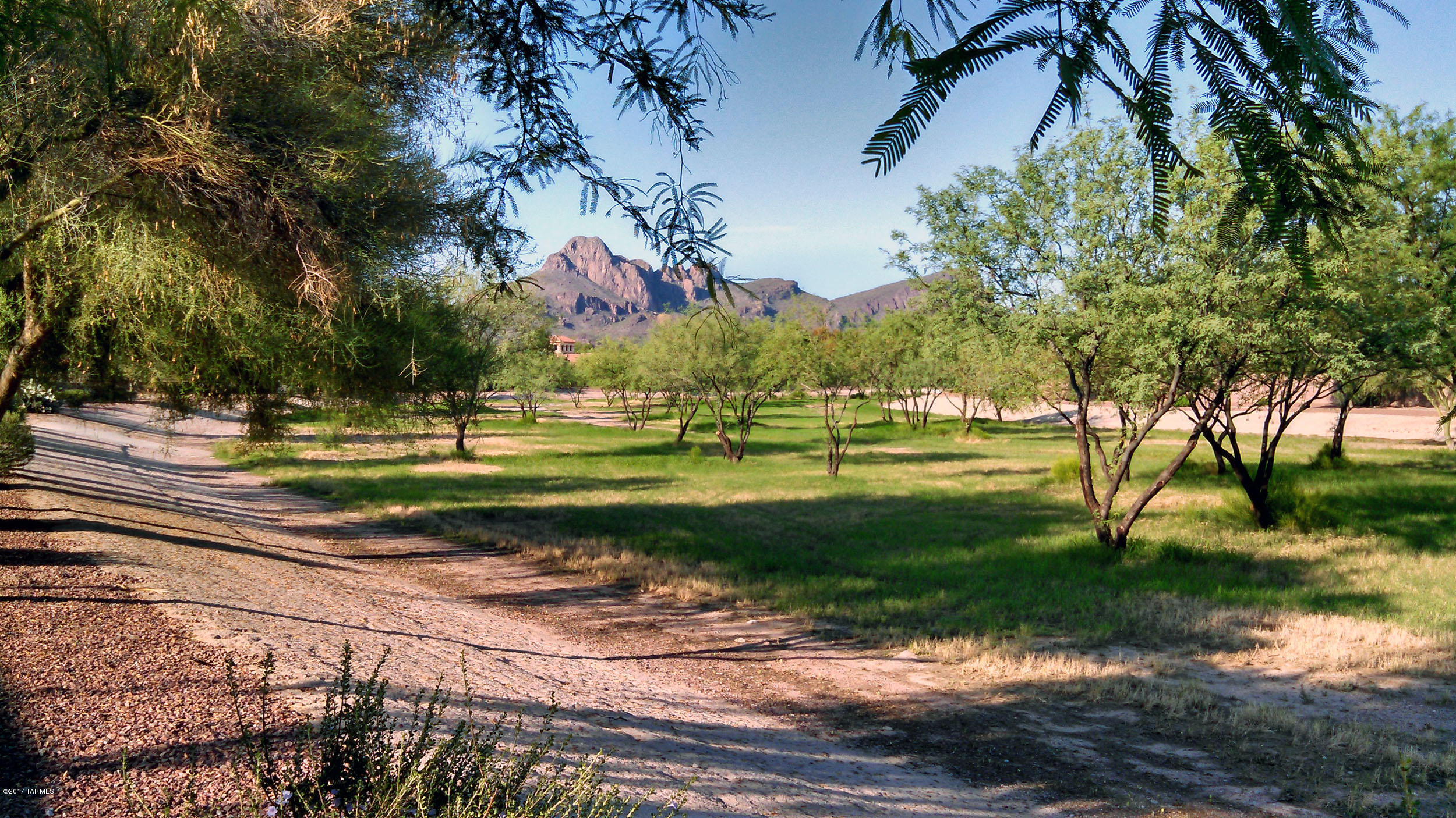 Continental Ranch Sunflower - Residential
