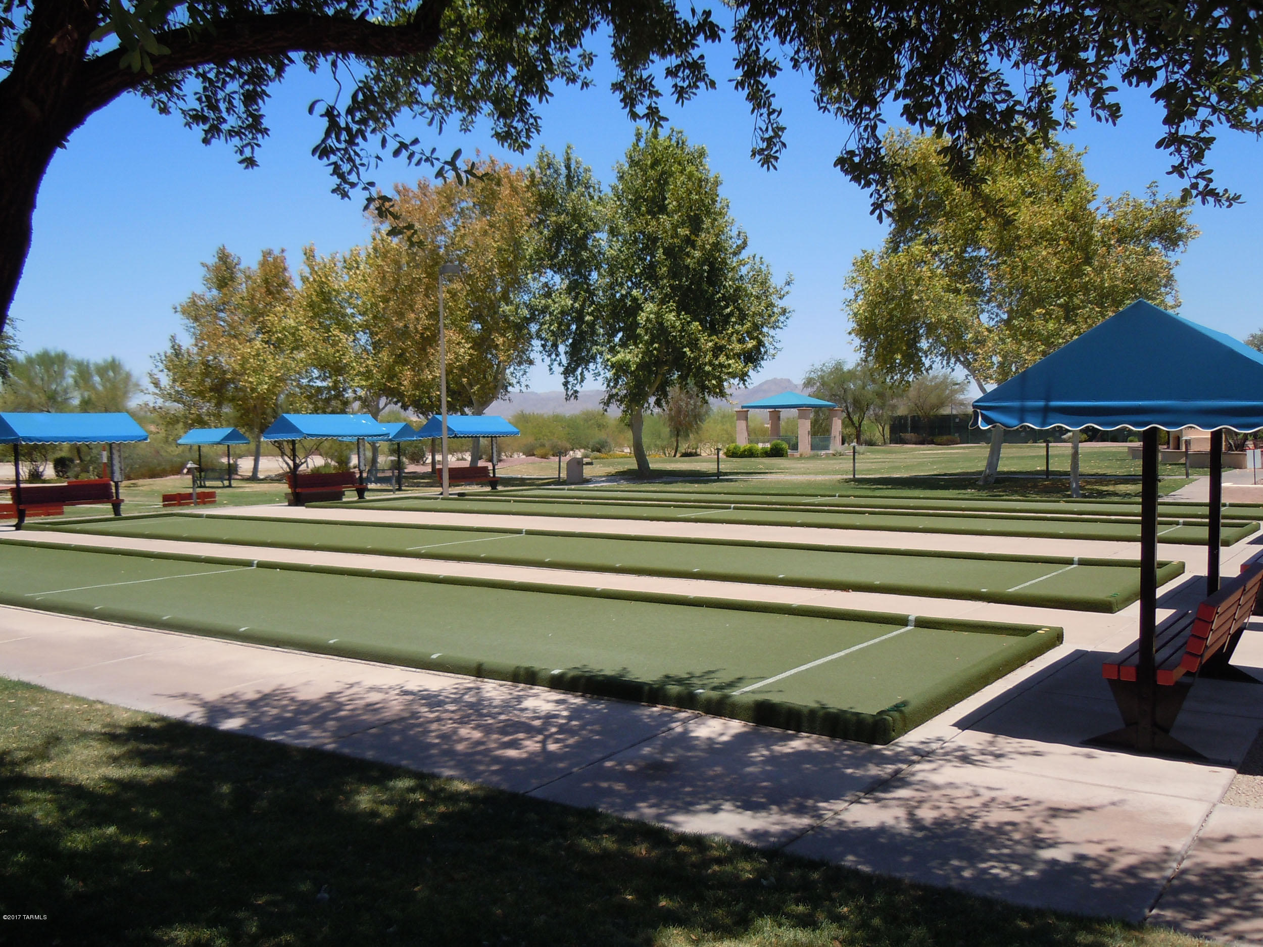 Continental Ranch Sunflower - Residential