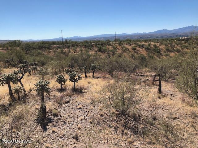 Rio Rico Estates 16 - Land