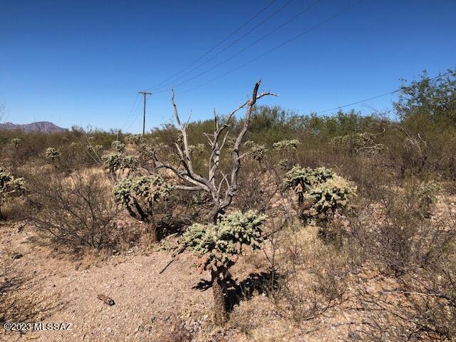 Rio Rico Estates 16 - Land