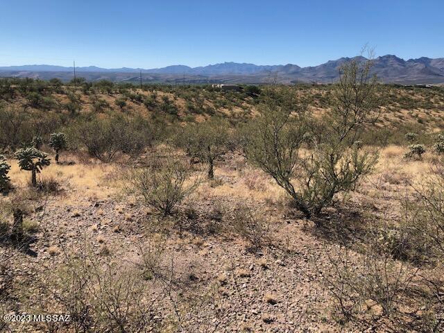 Nice view residential lot.  All paved access.  About 4 minutes from I-19.  Electric service at the street.   Water probably is also but I am waiting for the verification to come back from the water co.  When I get that I will upload it in the Documents tab.  Hurry great price!  Won't last long.  Sellers are closing an estate and wanted a fast sale so the price is low!