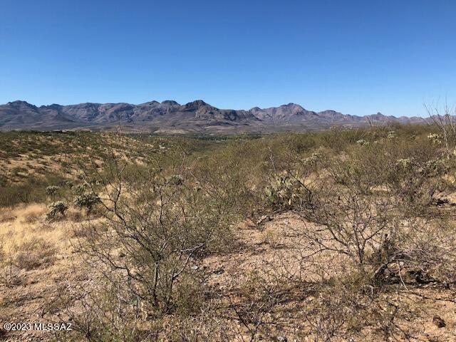 Rio Rico Estates 16 - Land