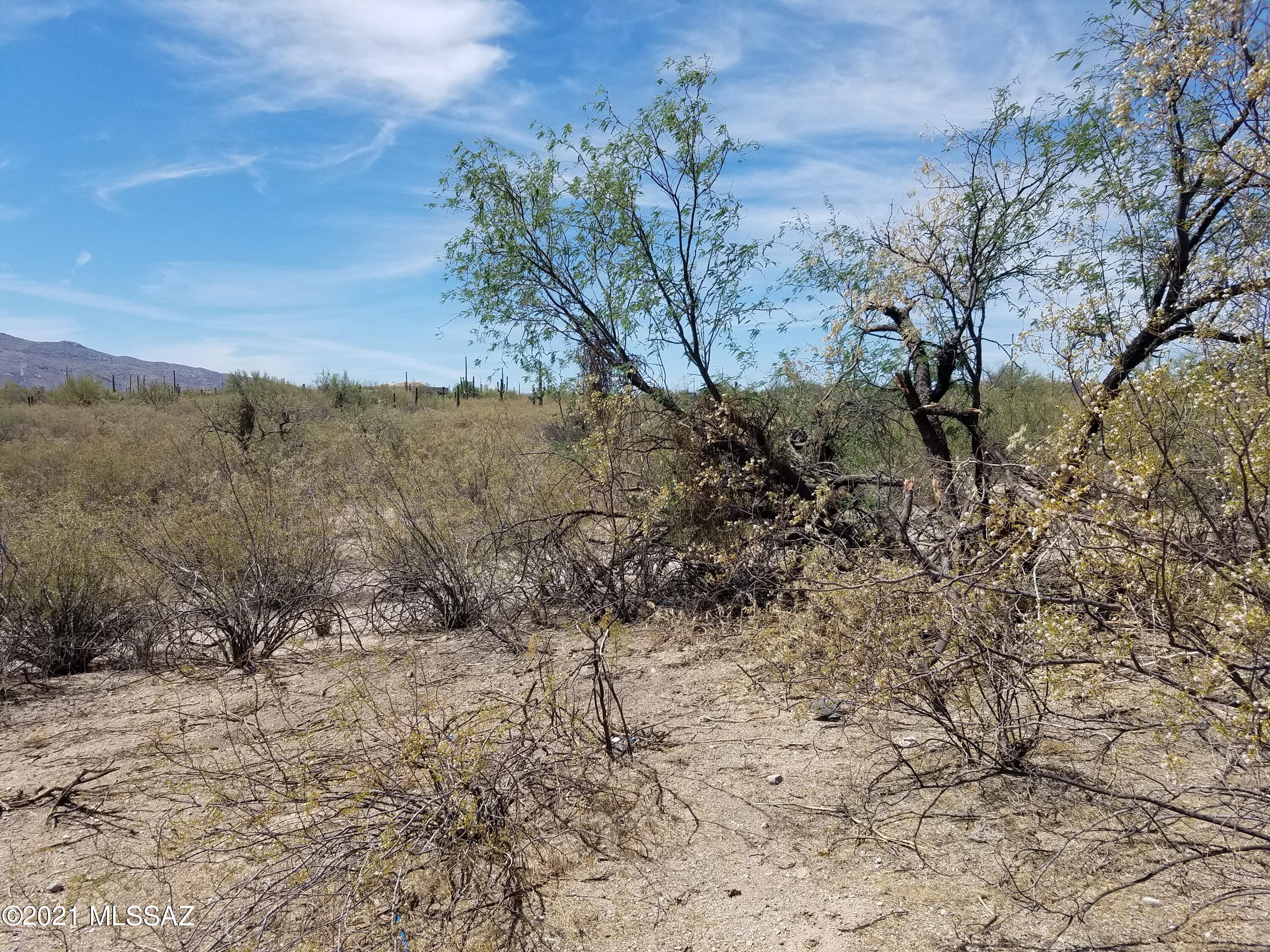 Saguaro Cerro Estates - Land