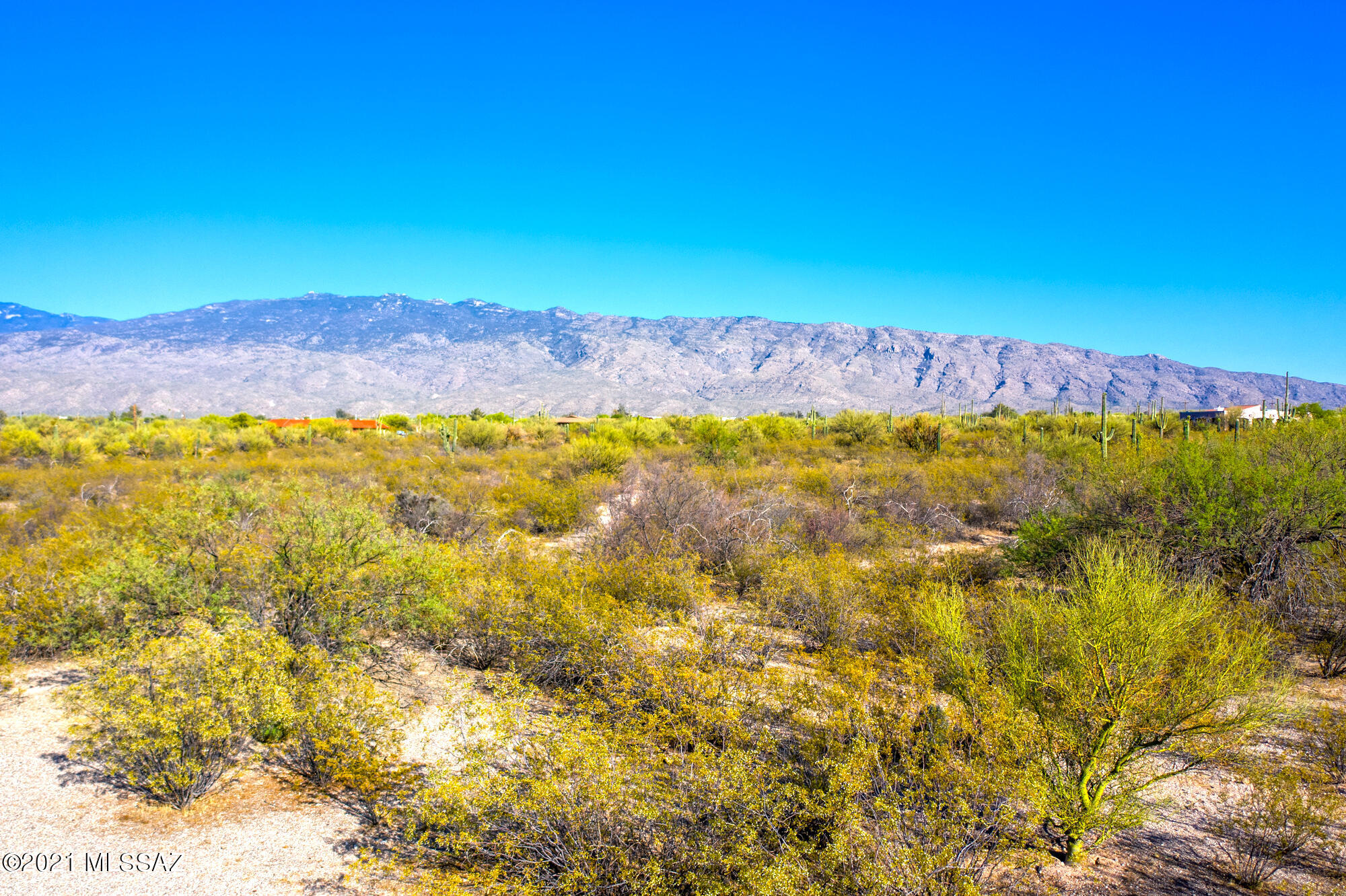 Saguaro Cerro Estates - Land