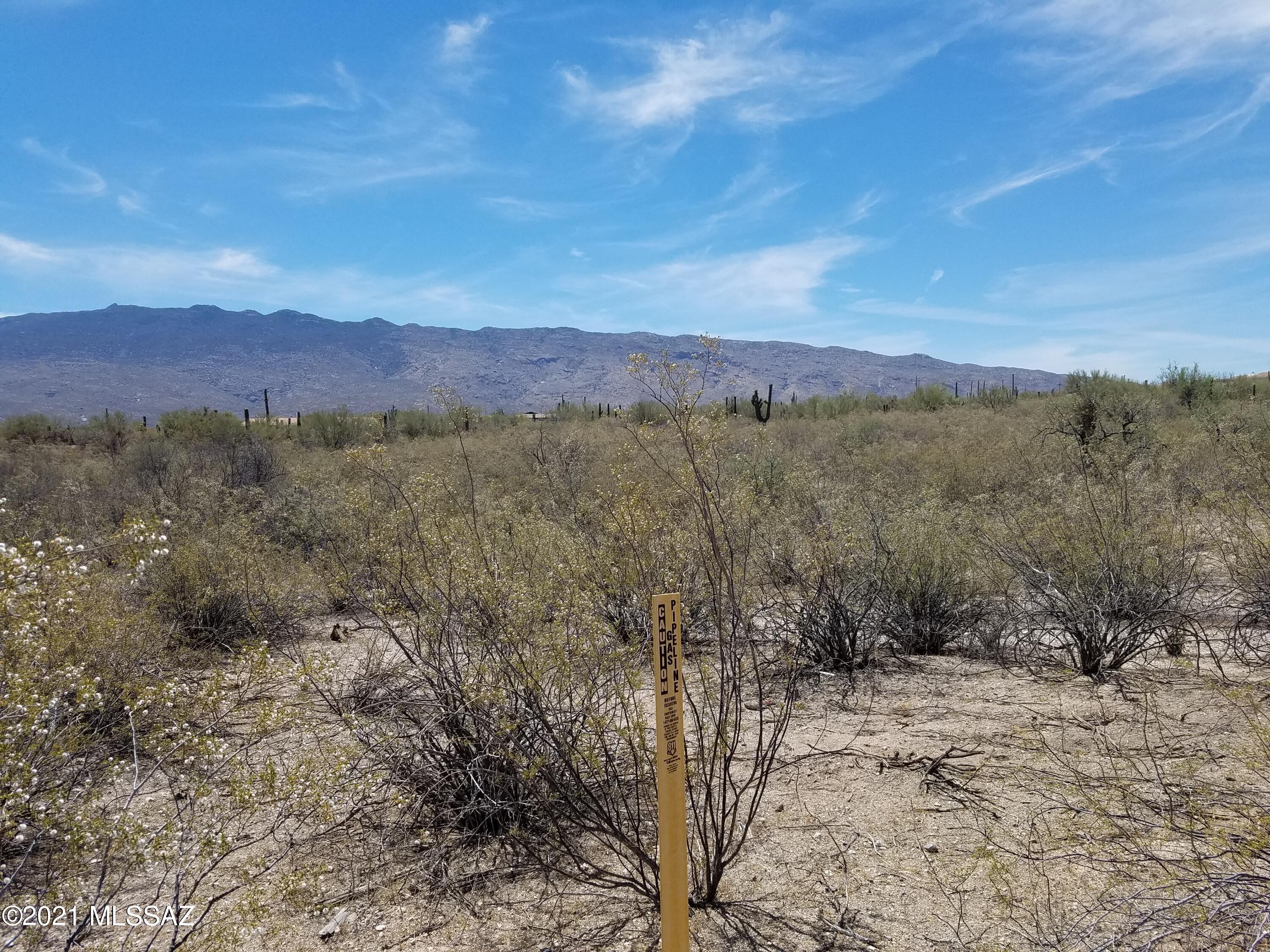 Saguaro Cerro Estates - Land