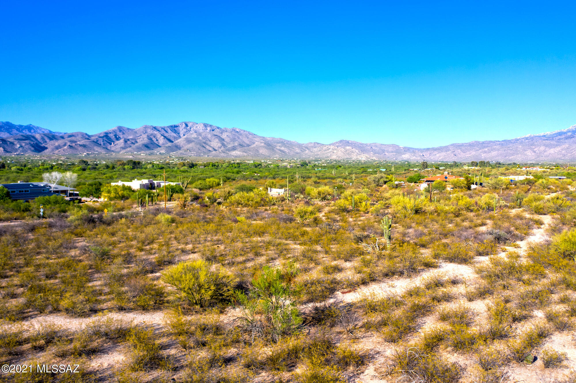 Saguaro Cerro Estates - Land