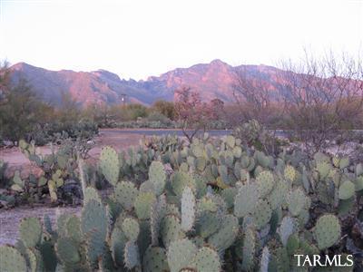 Build ANEW in historic Casas Adobes area; end of CUL-DE-SAC in a small, quaint 8-lot custom subdivision of NEW HOMES. PERFECT site for DOWNSIZING; only 2,000sqft minimum home! Generous Catalina Mountain views and some west Tucson Mountains and SUNSETS! An arroyo and accompanying HAPPY, LUSH VEGETATION create a very serene setting. Floodplain runs through south portion of property, but there’s still about 11,000 sq.ft. of BUILDABLE SPACE w/ no flood insurance required! Perfect for that bigger IS NOT better new home! No HOA! 2 blks from Tohono Chul.