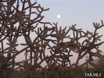 Chula Vista Reserve (1-8) - Land
