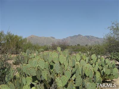 Chula Vista Reserve (1-8) - Land
