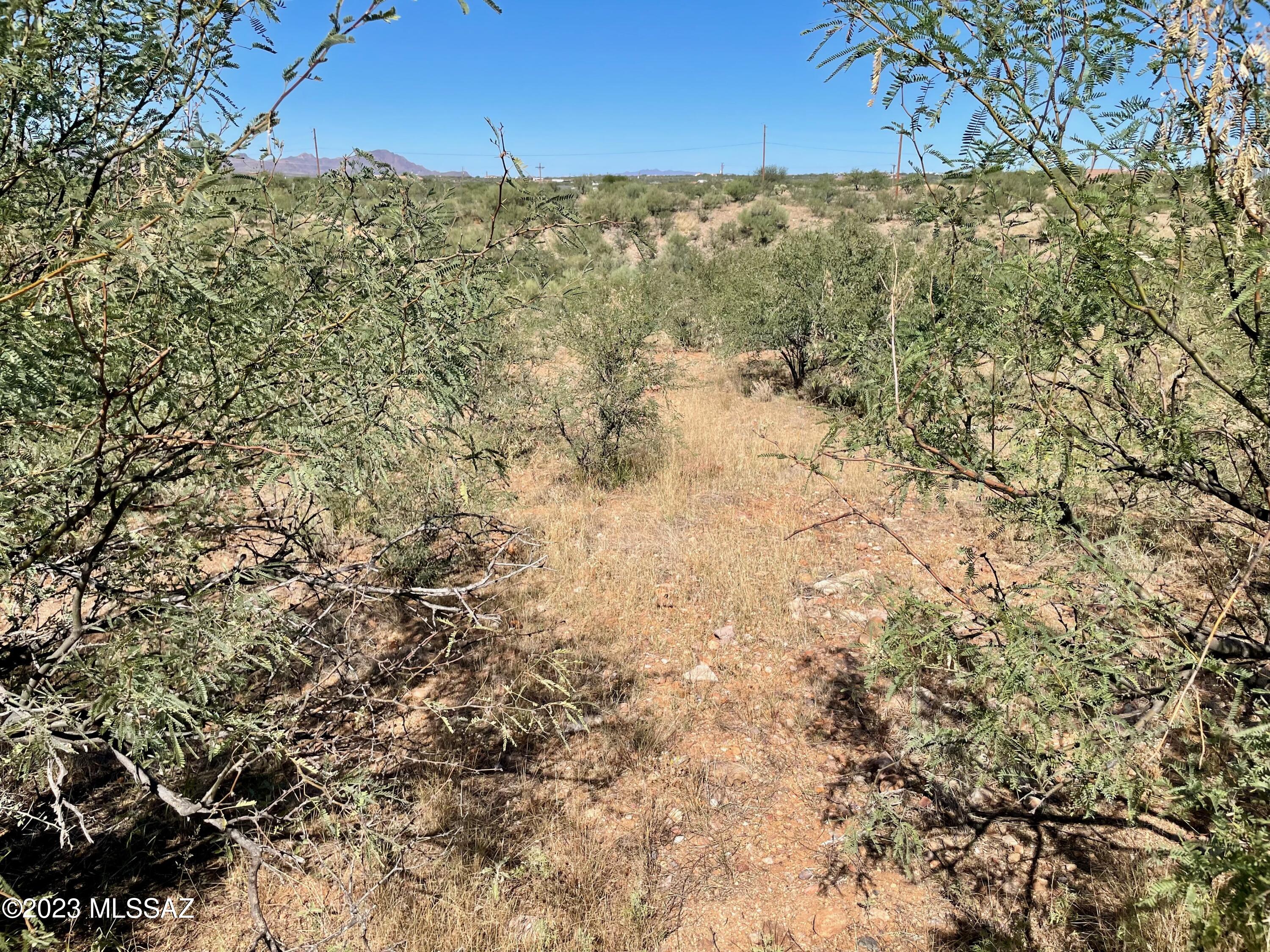 Rio Rico Ranchettes 18 - Land