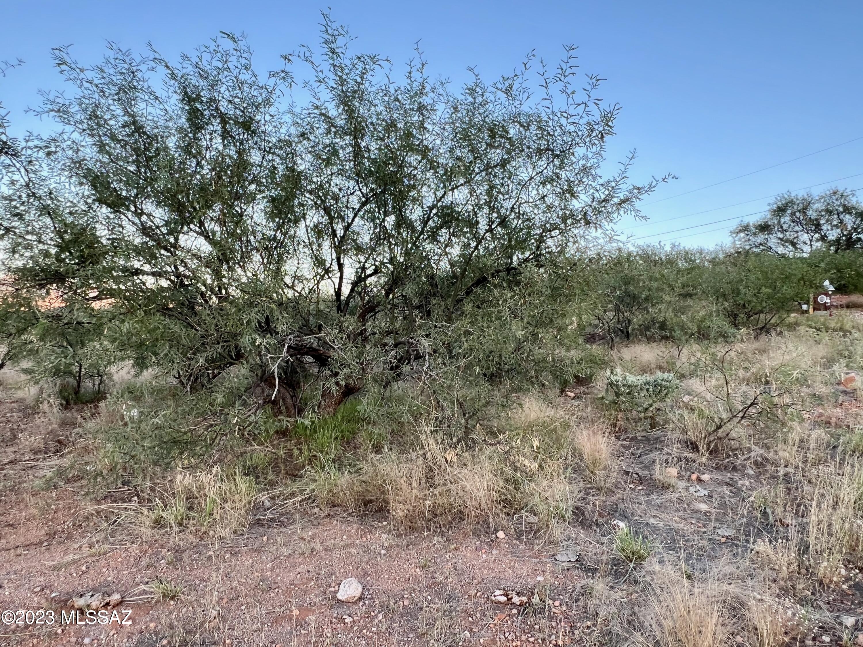Rio Rico Ranchettes 18 - Land
